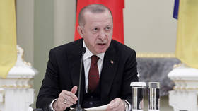 Operación aérea turca 'solo el comienzo': Erdogan
