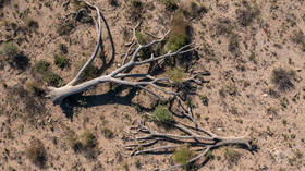 Historic drought in California threatens US food security