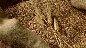 Russian wheat takes Egypt by storm