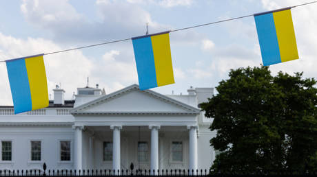 Ukrainian flags in front of the White House