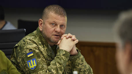 Commander-in-Chief of the Armed Forces of Ukraine Valery Zaluzhny.