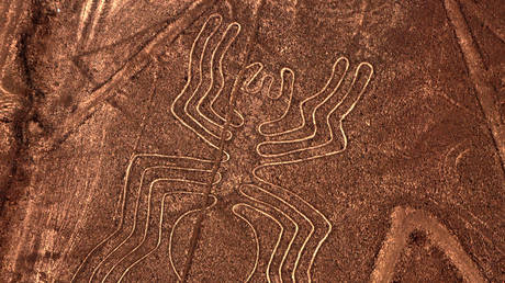 Over 100 animals found carved into Peruvian desert