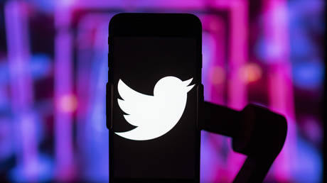 Illustration: The Twitter logo on a smartphone.