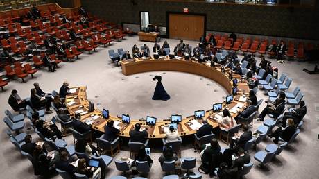 FILE PHOTO. A United Nations Security Council meeting.