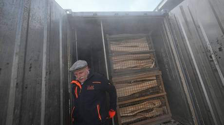 A firewood dealer in Wissembourg, France, December 15, 2022.
