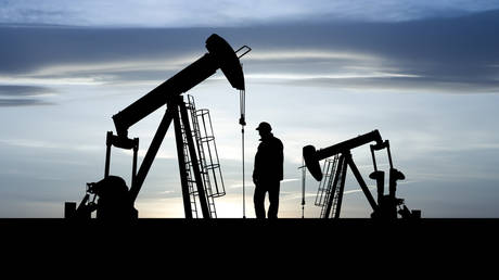 Oil price cap will backfire – economist