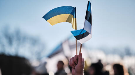 FILE PHOTO. A protester holds Ukrainian and Estonian flags at the Freedom Square in Tallinn, Estonia.