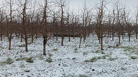 Missile wreckage found across Ukrainian border