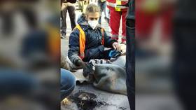 Activista ecológico sacado de calle alemana con martillo neumático (FOTOS)