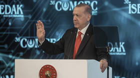 Erdogan slams ‘repulsive’ comment by top EU diplomat