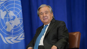 UN chief weighs in on Security Council expansion