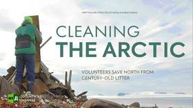 Cleaning the Arctic