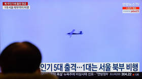 South Korea explains major drone scare – media
