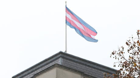 FILE PHOTO: A transgender pride flag flies over London, England, November 20, 2018