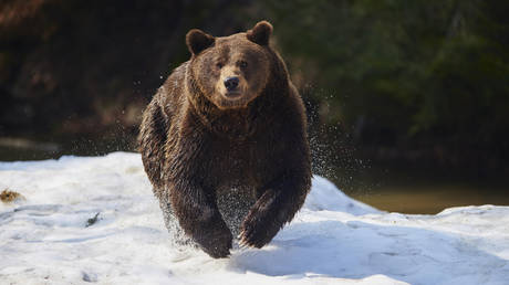 US stocks face massive drop – Morgan Stanley