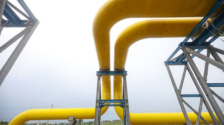 Russian oil giant wants to supply gas to China – Kommersant