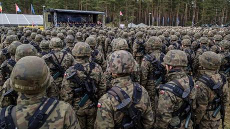 Poland to create new eastern infantry division – defense minister