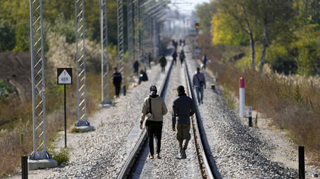 Migrants walk to the Hungarian border at the village of Horgos, Serbia, October 20, 2022