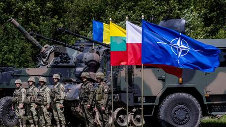 FILE PHOTO: Polish and Romanian soldiers stand next to military vehicles and a NATO flag