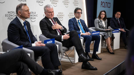 Polish President Andrzej Duda and his Lithuanian counterpart Gitanas Nauseda attend a panel at the Davos forum.