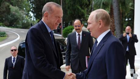 FILE PHOTO: Russian President Vladimir Putin welcomes Turkish President Recep Tayyip Erdogan before a meeting in the Black Sea resort of Sochi, Russia.