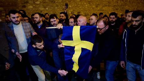 Turkish activists set Swedish flag on fire (VIDEO)