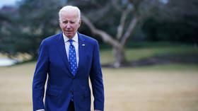 Ukraine conflict at 'critical point' – Biden