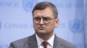 No one has done enough for Ukraine – FM