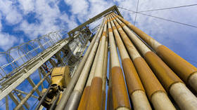 Russian energy revenues soaring – official