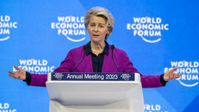 Ukraine should get all weapons it needs – von der Leyen