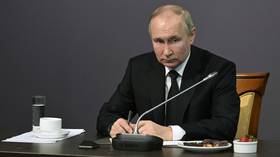 We couldn’t ignore what was happening in Ukraine – Putin