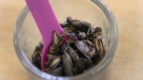 House crickets allowed as food in EU