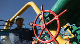 EU gas price cap threatens market stability – regulators