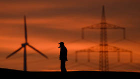 Energy subsidies come at huge cost for German economy – Reuters