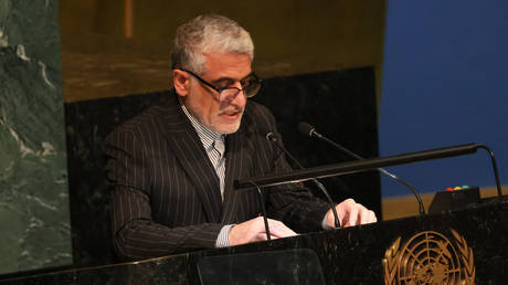 FILE PHOTO: Amir Saeid Iravani speaks at the UN.