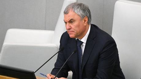 State Duma Chairman Vyacheslav Volodin