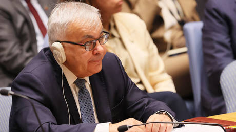 Russia's Deputy Foreign Minister Sergey Vershinin attends a UN Security Council meeting.