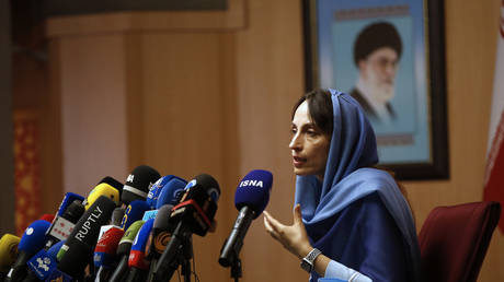 FILE PHOTO: The UN special rapporteur on the negative impact of the unilateral sanctions Alena Douhan speaks during her news conference in Tehran, Iran, May 18, 2022