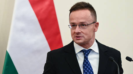Hungarian Foreign Minister Peter Szijjarto attends a joint press conference with the Serbian Foreign Minister in Budapest, Hungary on November 25, 2021.
