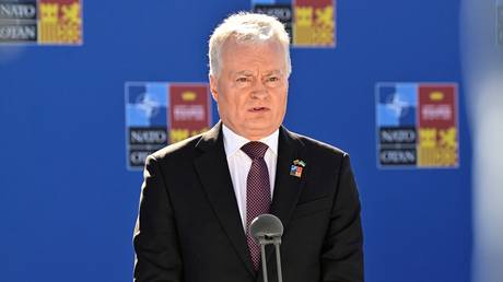 Lithuania's President Gitanas Nauseda talks to the press at a NATO summit.