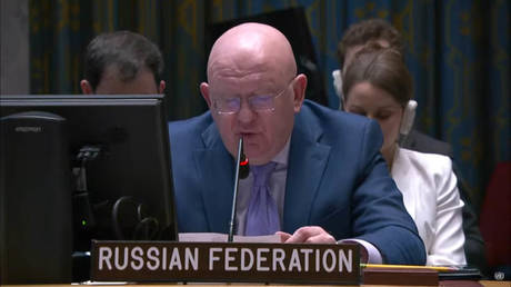 Russia's Permanent Representative to the UN Vassily Nebenzia addresses the UN Security Council on February 21, 2023
