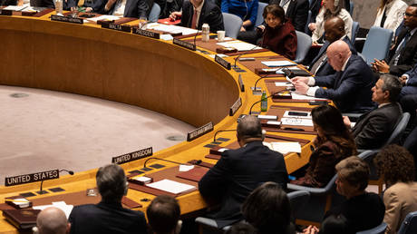 FILE PHOTO: A United Nations Security Council meeting.
