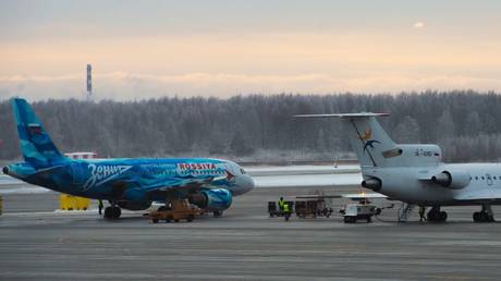 FILE PHOTO: Planes at the Pulkovio airport in Saint Peterburg.