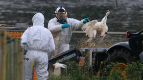 Scientists sound alarm over bird flu mutations