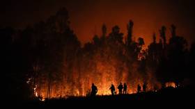 Wildfires kill dozens in Chile