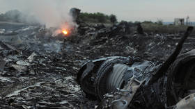MH17 probe suspended