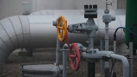 EU gas stocks shrink – data