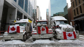 Canada ends probe into trucker emergency