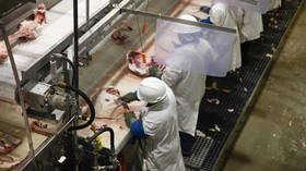 Children illegally sent to work at US slaughterhouses