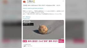 Japan cordons off beach due to ‘mystery ball’